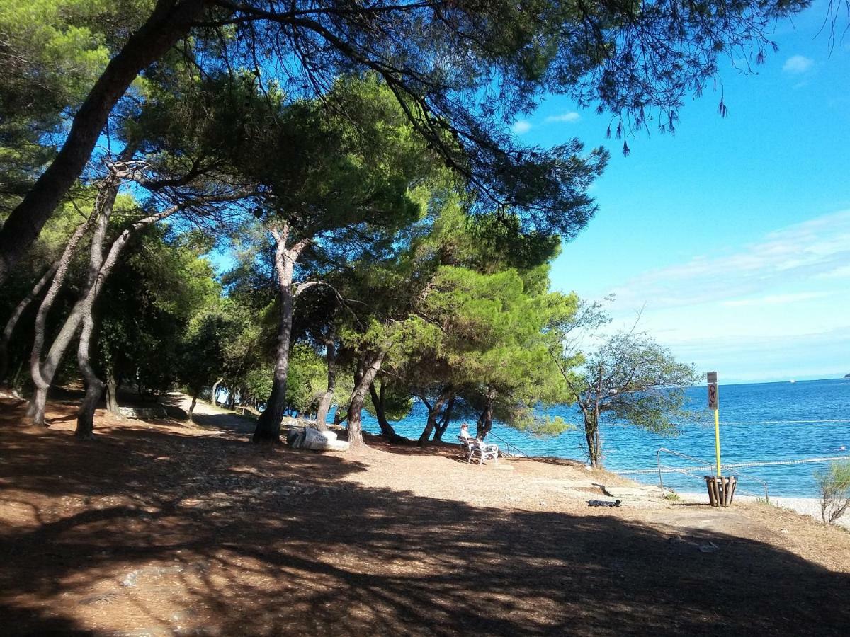 Victoria Mobilehome In Orsera Camping Resort Dış mekan fotoğraf
